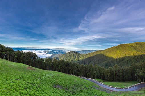 Jalori pass Jibhi Trip Himachal Pradesh
