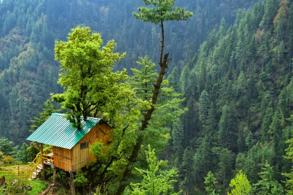 Tree House Jibhi Himachal Pradesh
